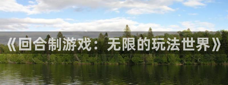 《回合制游戏：无限的玩法世界》