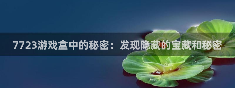 7723游戏盒中的秘密：发现隐藏的宝藏和秘密