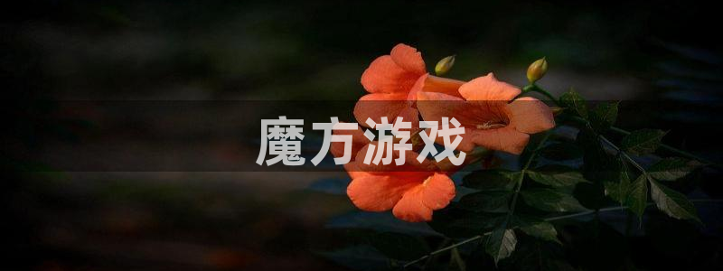 乐玩苹果下载：魔方游戏