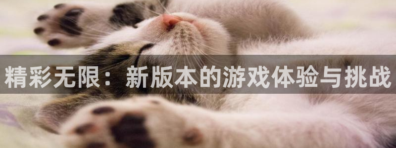 乐玩网络有什么游戏