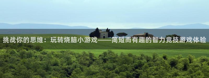 乐玩官方下载：挑战你的思维：玩转烧脑小游戏——简短而有趣的智