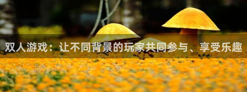 乐玩国际app最新版本更新内容：双人游戏：让不同背景的玩家共