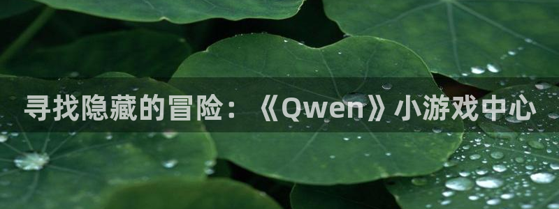 乐玩网络是什么