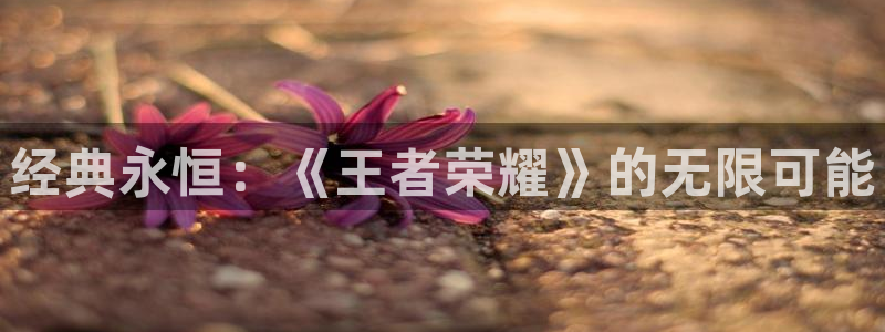 乐玩是什么软件下载