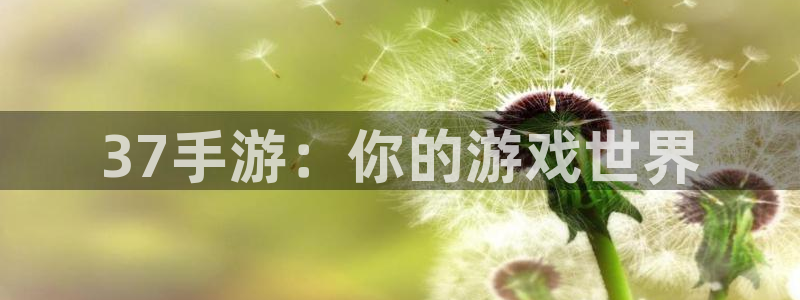 乐玩app做任务是真的吗