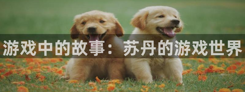 乐玩app官网入口