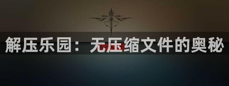 台湾快乐玩官网注册：解压乐园：无压缩文件的奥秘