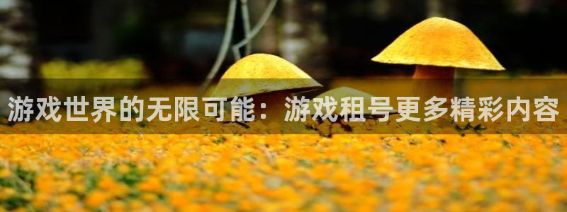 乐玩下载安装最新版：游戏世界的无限可能：游戏租号更多精彩内容