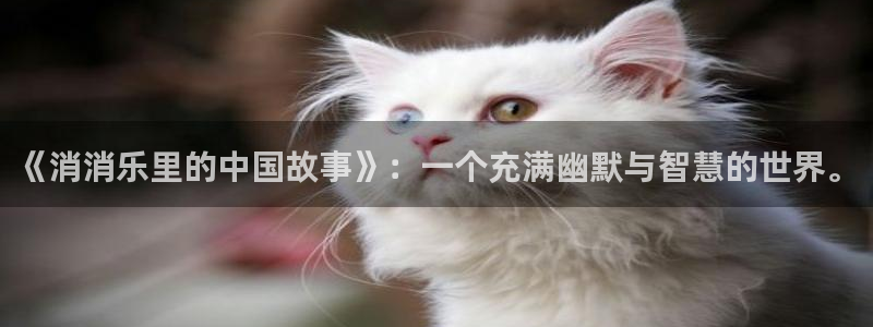 乐玩科技开放平台：《消消乐里的中国故事》：一个充满幽默与智慧